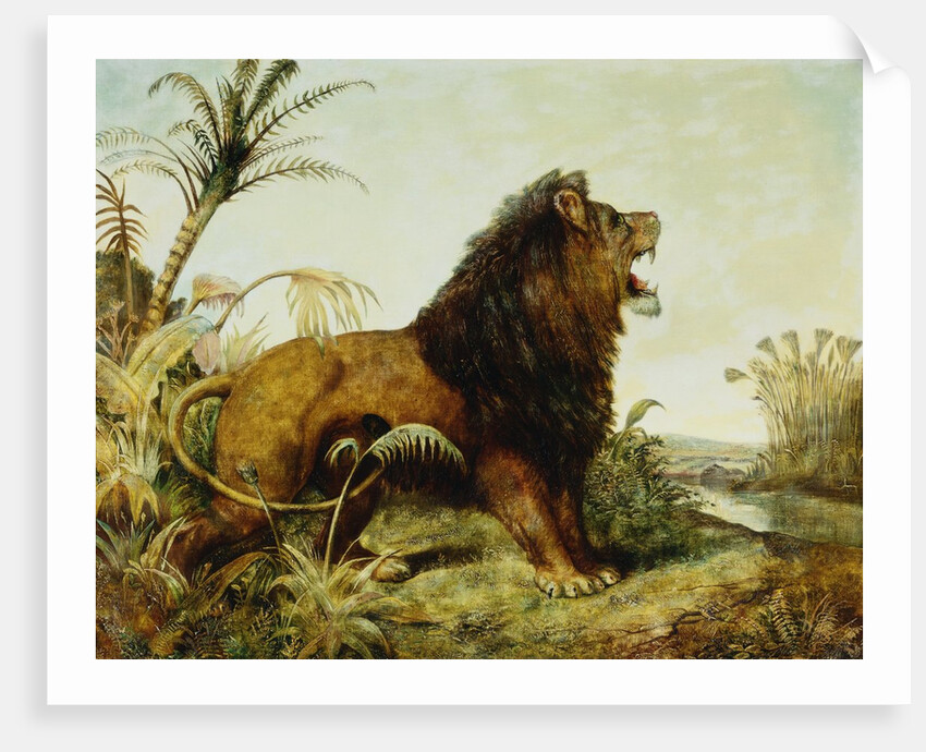 A Lion in a Jungle Landscape by William Huggins