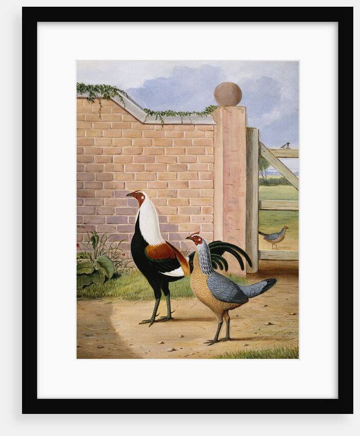 Old English Game by a Gate by Robert Harrington