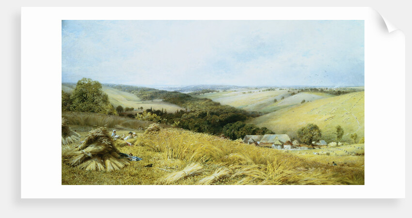 Hot Day in the Harvest Field by William Gosling
