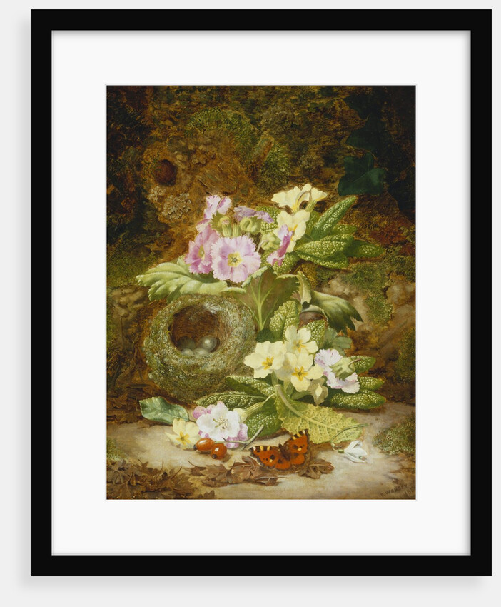 Primroses, Polyanthus, Apple Blossom and a Bird's Nest on a Mossy Bank by Thomas Worsey