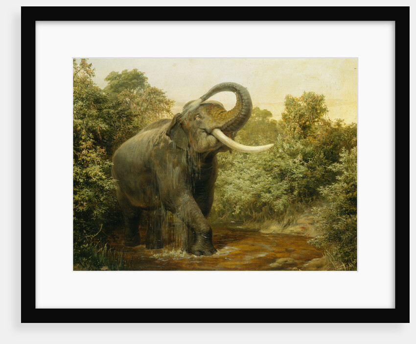 The Monster Tusker by Joseph Wolf