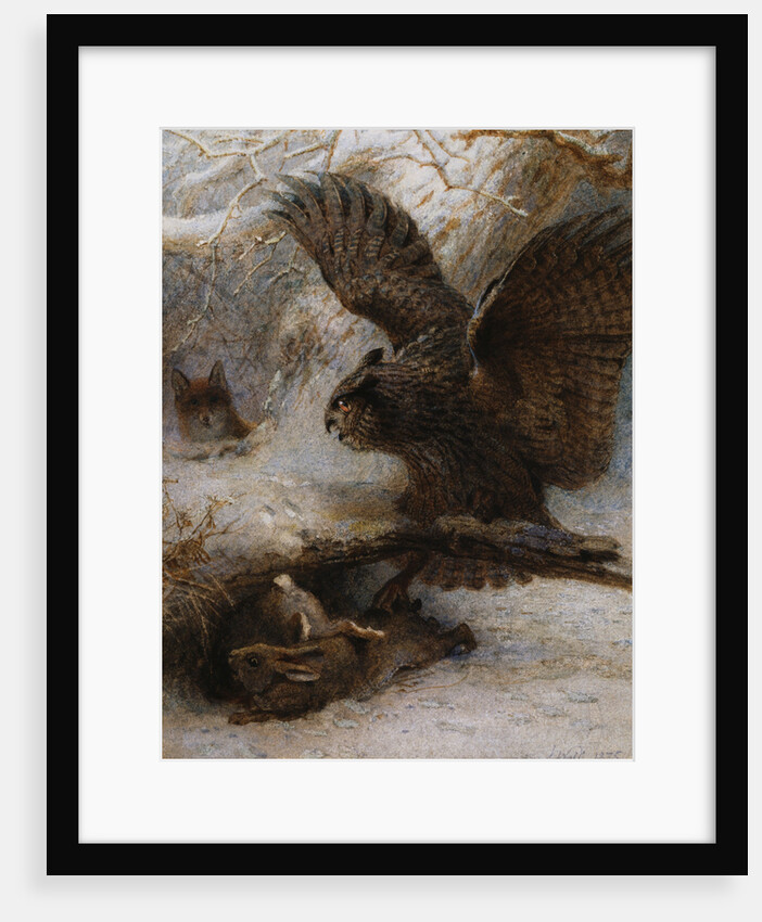 A Hair-Breadth Escape: An Owl, a Fox and a Hare by Joseph Wolf