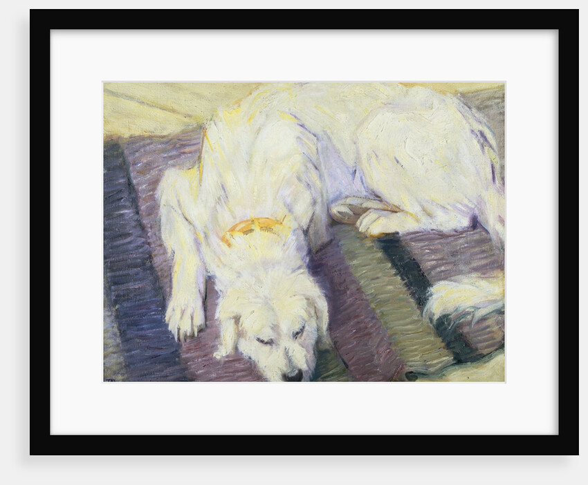 Dog Lying Down (Dog Portrait) by Franz Marc