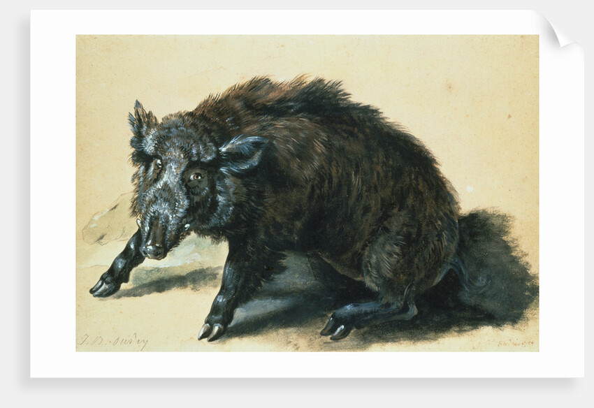 A Wild Boar at Bay by Jean-Baptiste Oudry