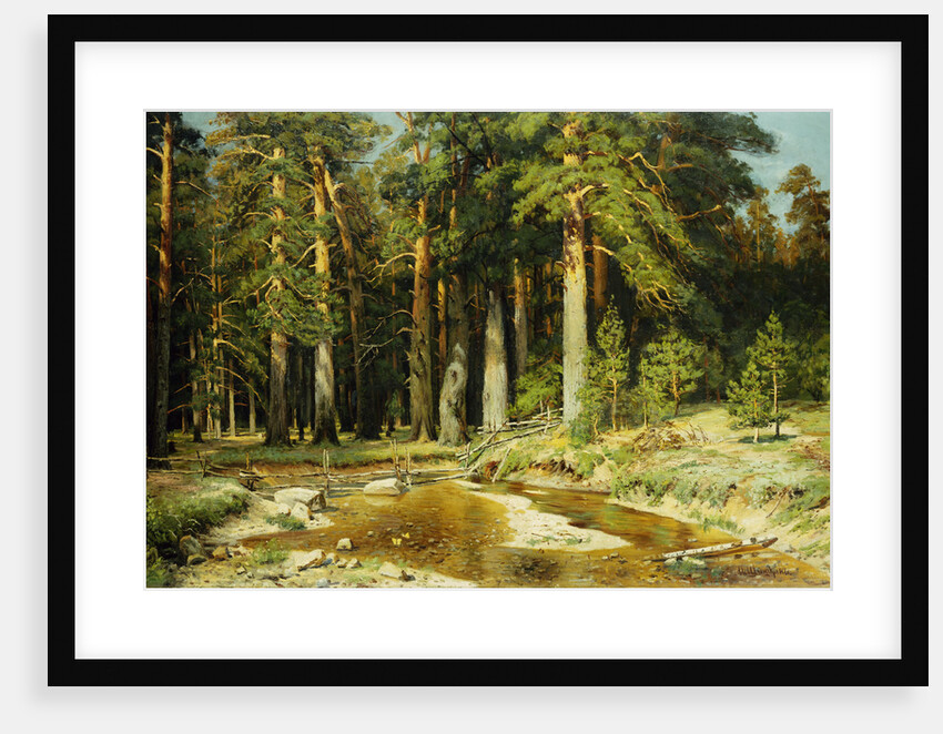 The Mast Tree Grove, Study Attributed to Ivan Ivanovich Shishkin by Anonymous