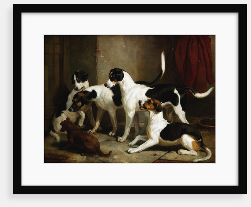 The Puckeridge Foxhounds Rantipole, Rummager, Racer, and Reveller by Thomas Woodward