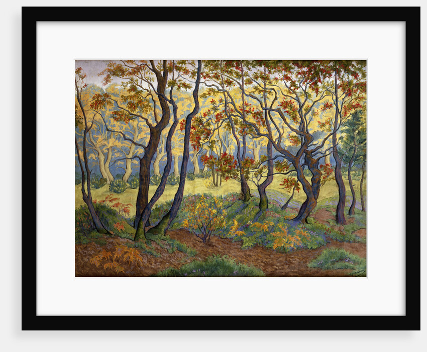 The Clearing by Paul Ranson