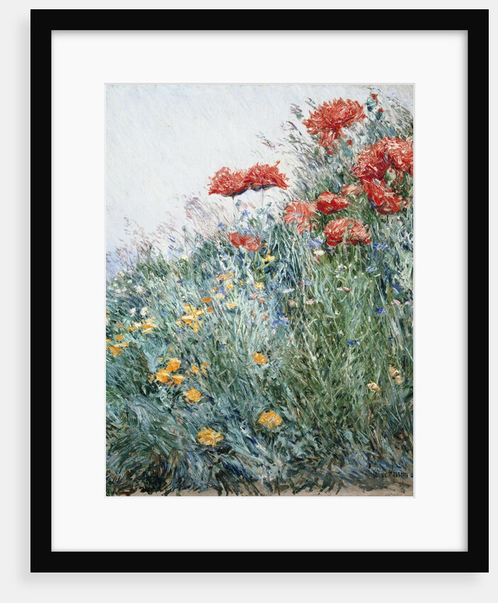 Poppies, Appledore by Childe Hassam