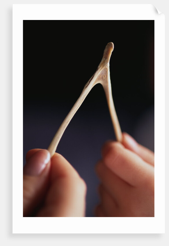 Two hands and a Wish Bone by Anonymous