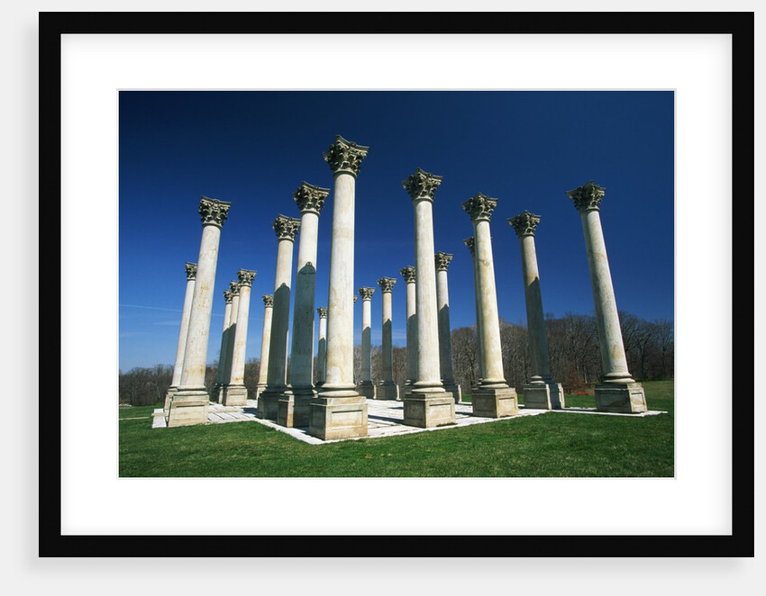 National Capitol Columns in the National Arboretum by Anonymous