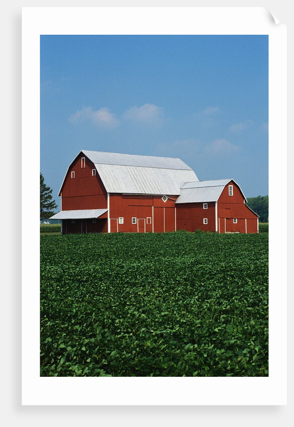Barn and Corn Field by Anonymous