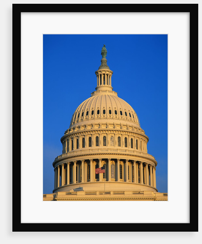 Dome of the United States Capitol by Anonymous