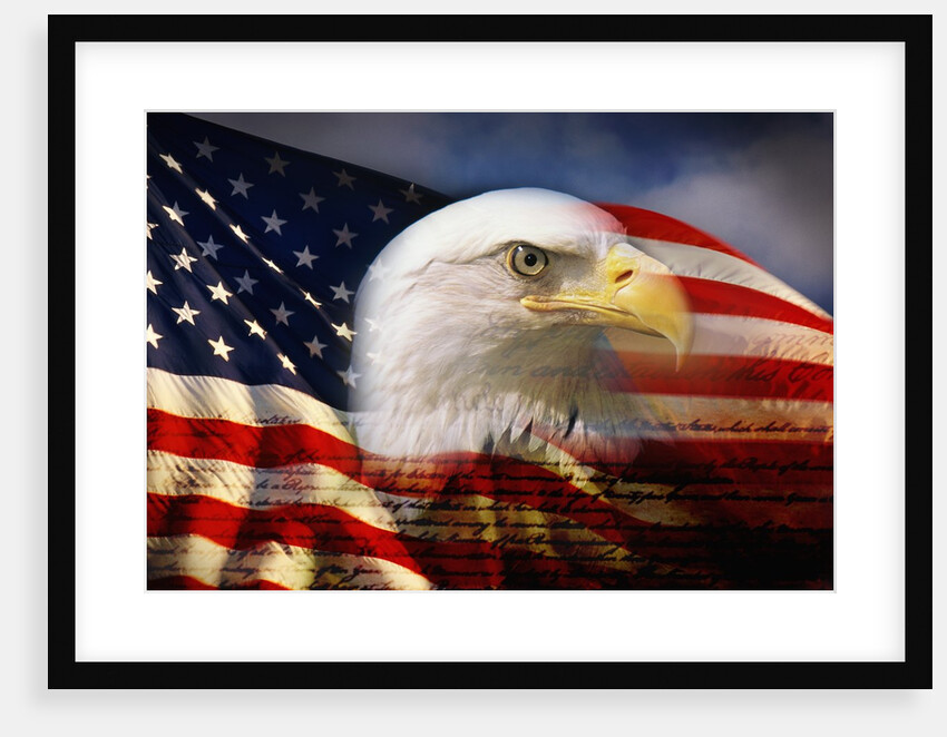 Bald Eagle Head and American Flag by Anonymous