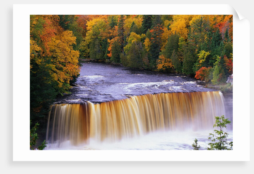 Tahquamenon Falls in Autumn by Anonymous