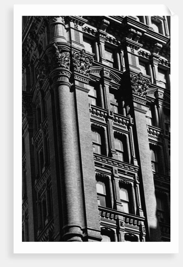 Exterior Detail of the Potter Building by Anonymous