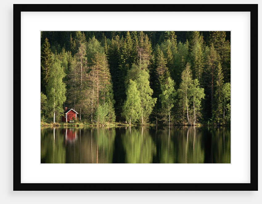 Sauna House at Edge of Forested Lake by Anonymous