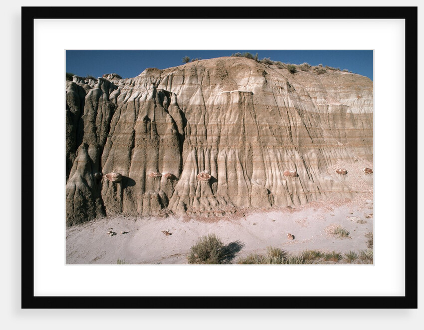 Badlands in Theodore Roosevelt National Park by Anonymous
