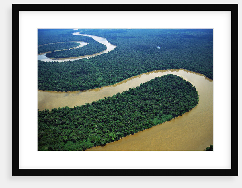 Meandering Tigre River by Anonymous