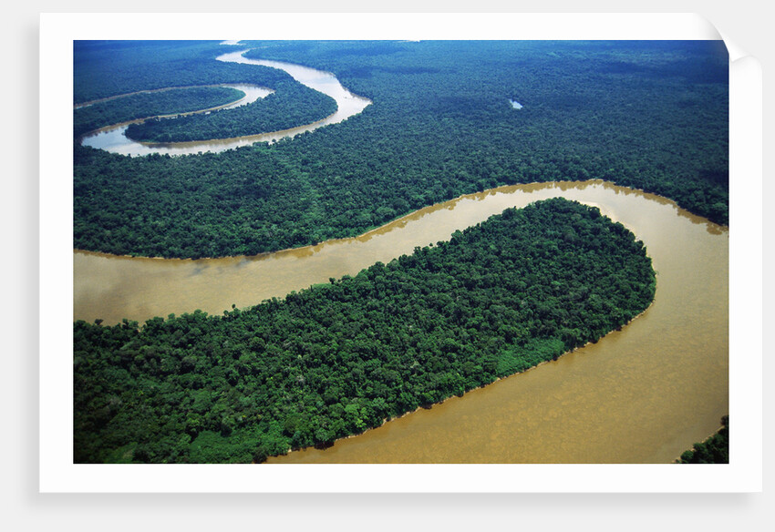 Meandering Tigre River by Anonymous