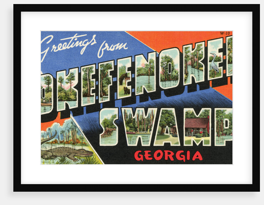 Greeting Card from Okefenokee Swamp by Anonymous