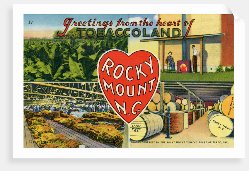 Greeting Card from Rocky Mount, North Carolina by Anonymous
