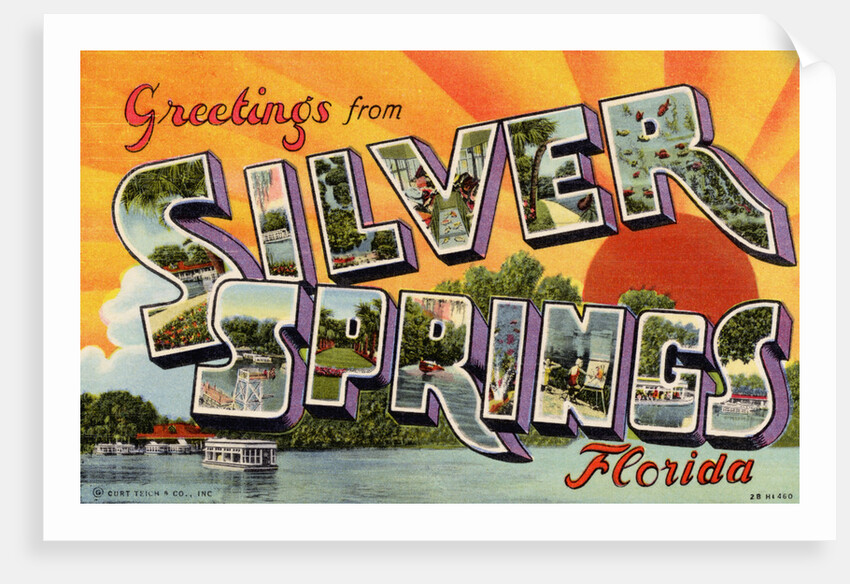 Greeting Card from Silver Springs, Florida by Anonymous