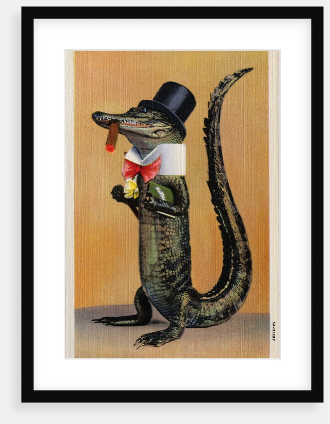 Postcard of Alligator in Top Hat and Bow Tie by Anonymous