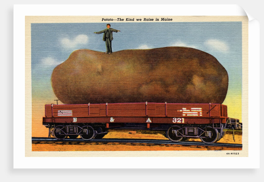 Giant Potato on a Train Car by Anonymous