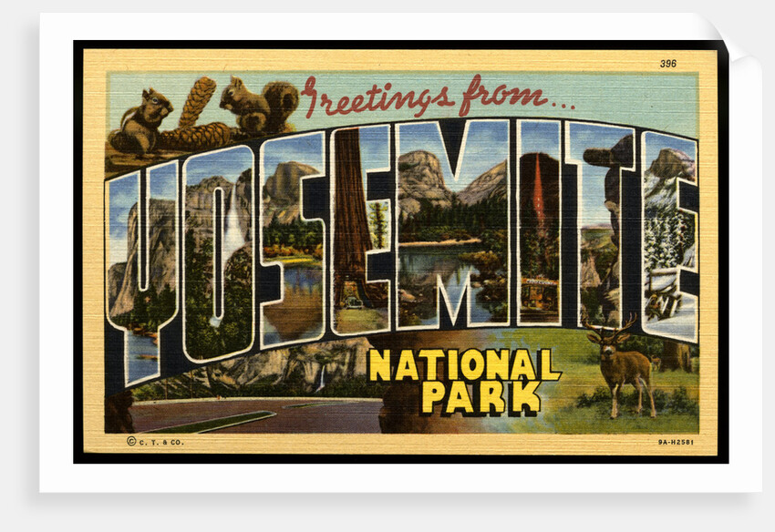 Greeting Card from Yosemite National Park by Anonymous