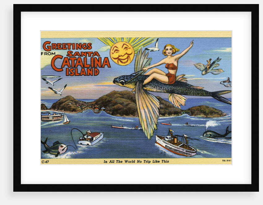 Greeting Card from Santa Catalina Island by Anonymous