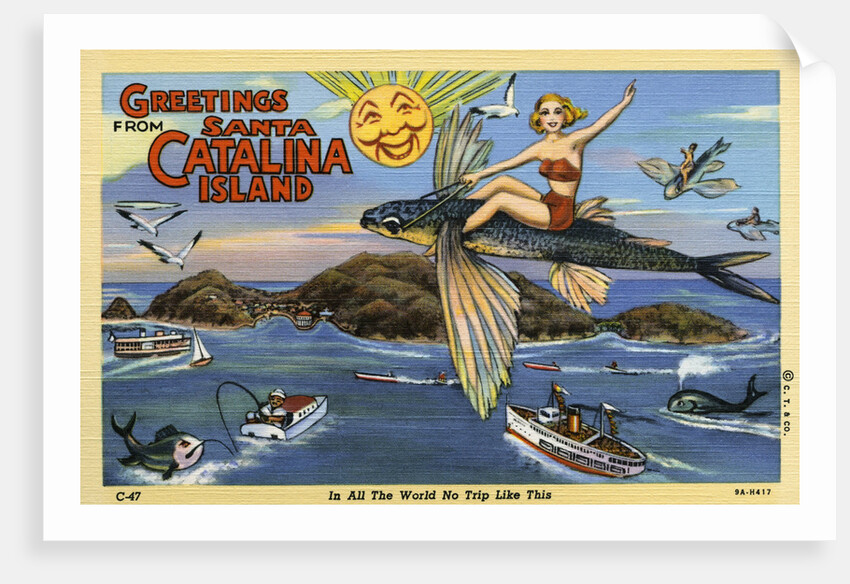 Greeting Card from Santa Catalina Island by Anonymous