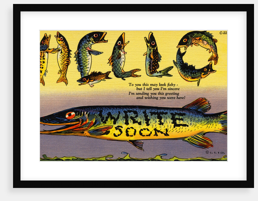 Fish Greeting Card by Anonymous