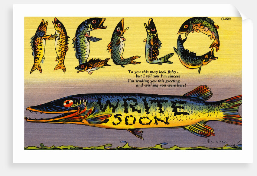 Fish Greeting Card by Anonymous