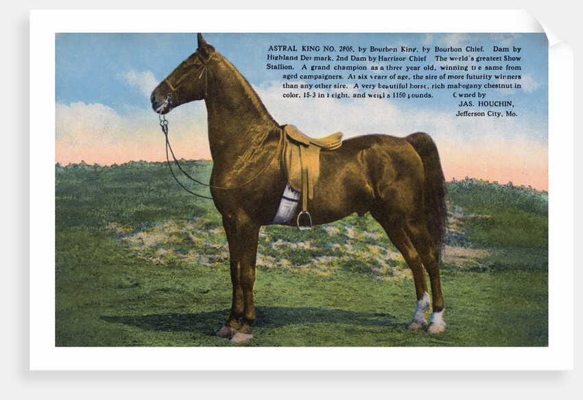 Postcard of Astral King by Anonymous