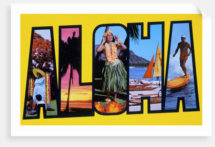 Postcard of Aloha Greetings by Anonymous
