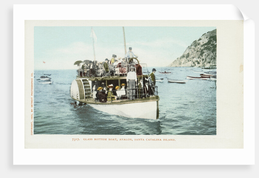 Glass Bottom Boat, Avalon, Santa Catalina Island Postcard by Anonymous