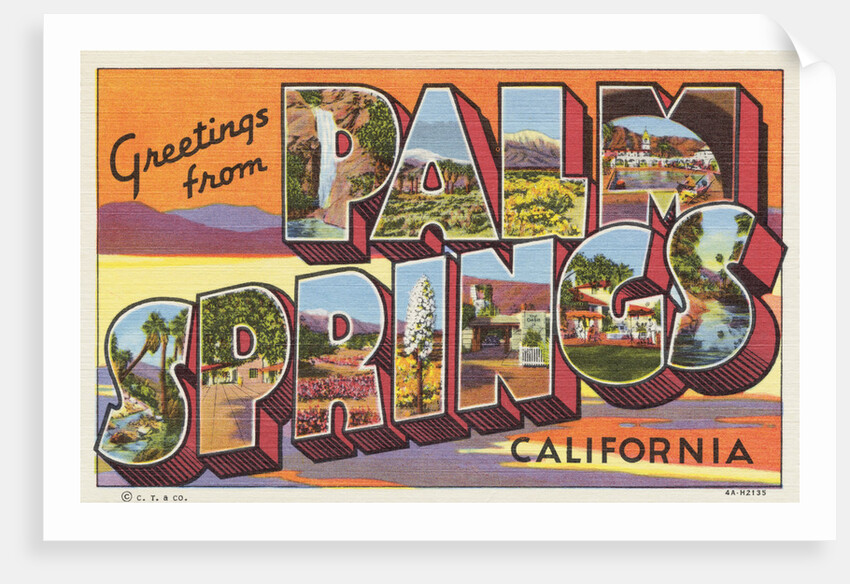 Greetings from Palm Springs Postcard by Anonymous