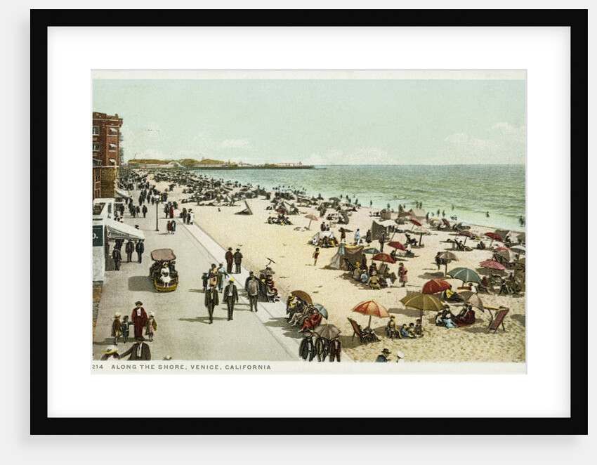 Along the Shore, Venice, California Postcard by Anonymous