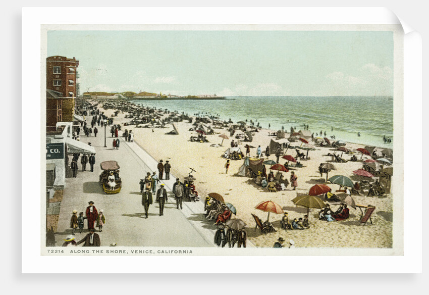 Along the Shore, Venice, California Postcard by Anonymous
