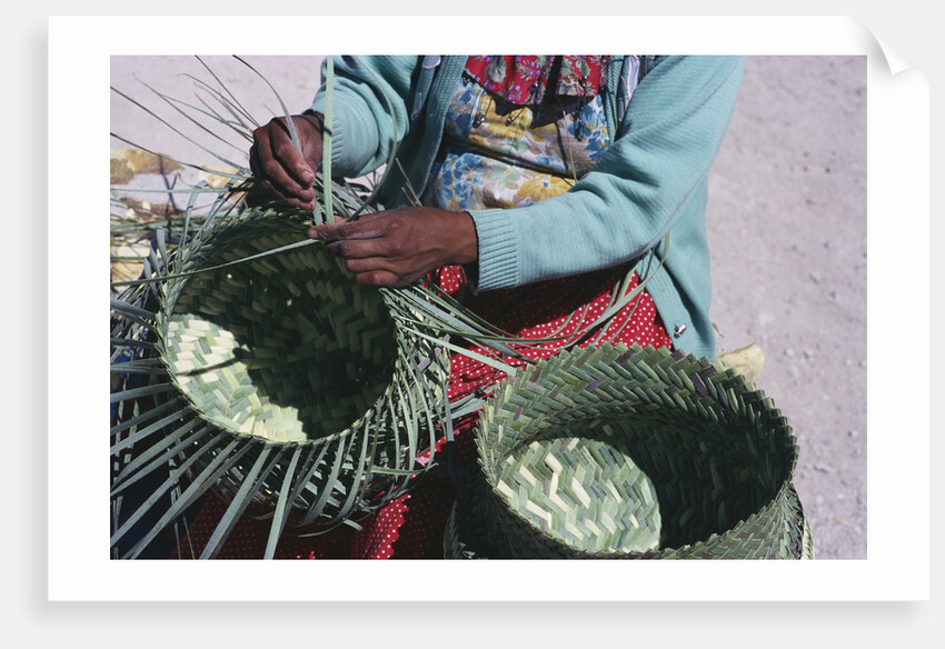 Tarahumaran Woman Weaving a Basket by Anonymous