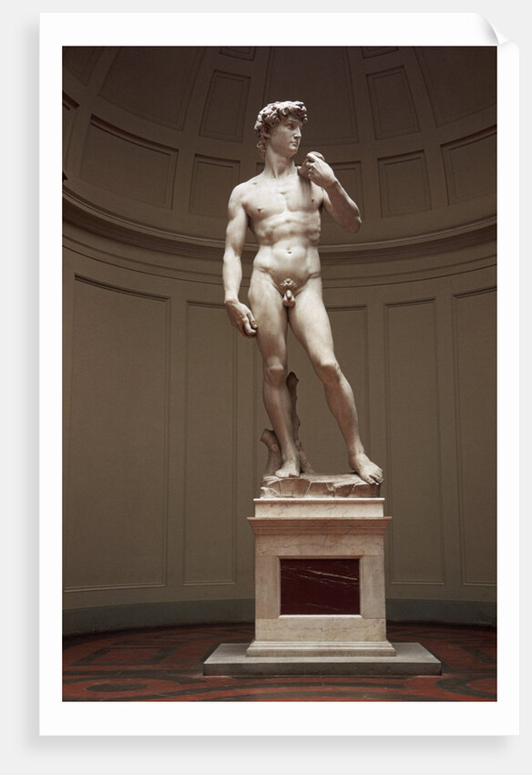 David by Michelangelo