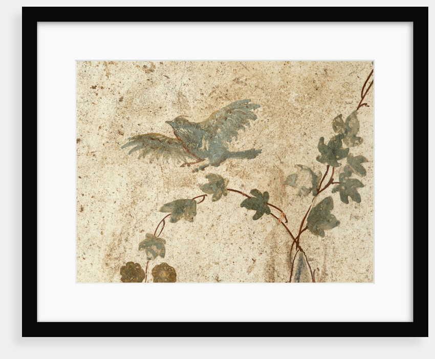 Detail of Roman Fresco Series at Oplonti Villa by Anonymous