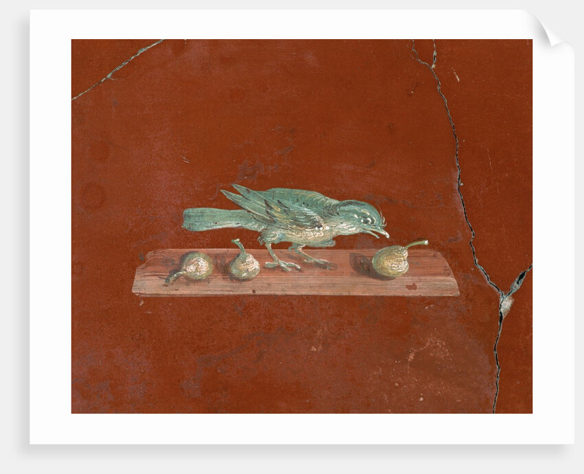 Detail of Roman Fresco Series at Oplonti Villa by Anonymous
