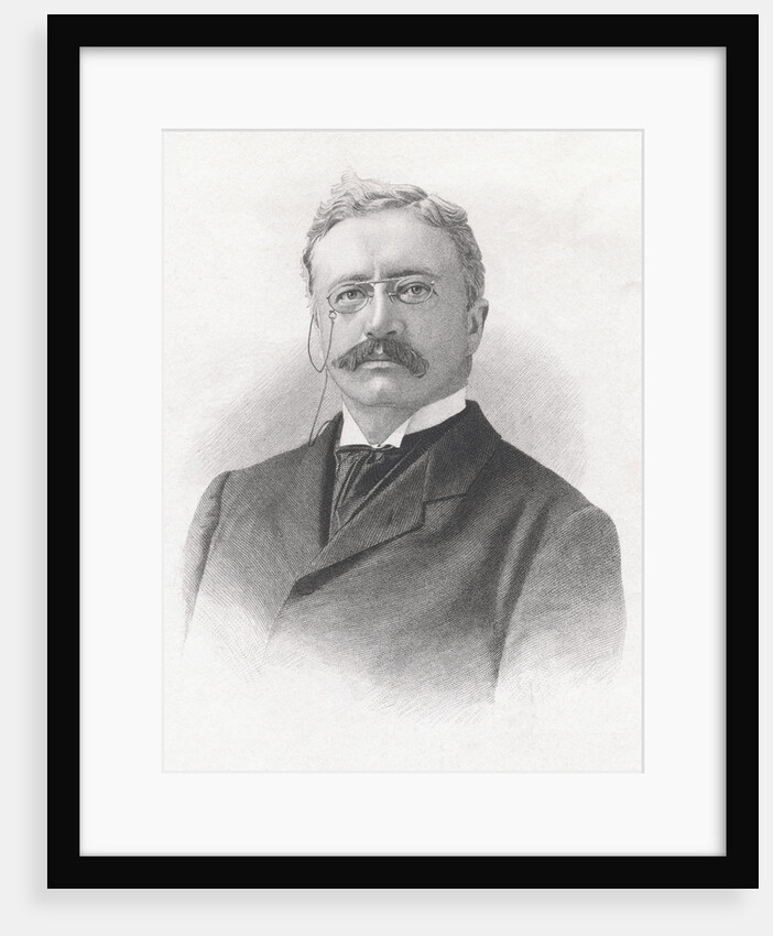 Bust-Length Portrait of Theodore Roosevelt by Anonymous