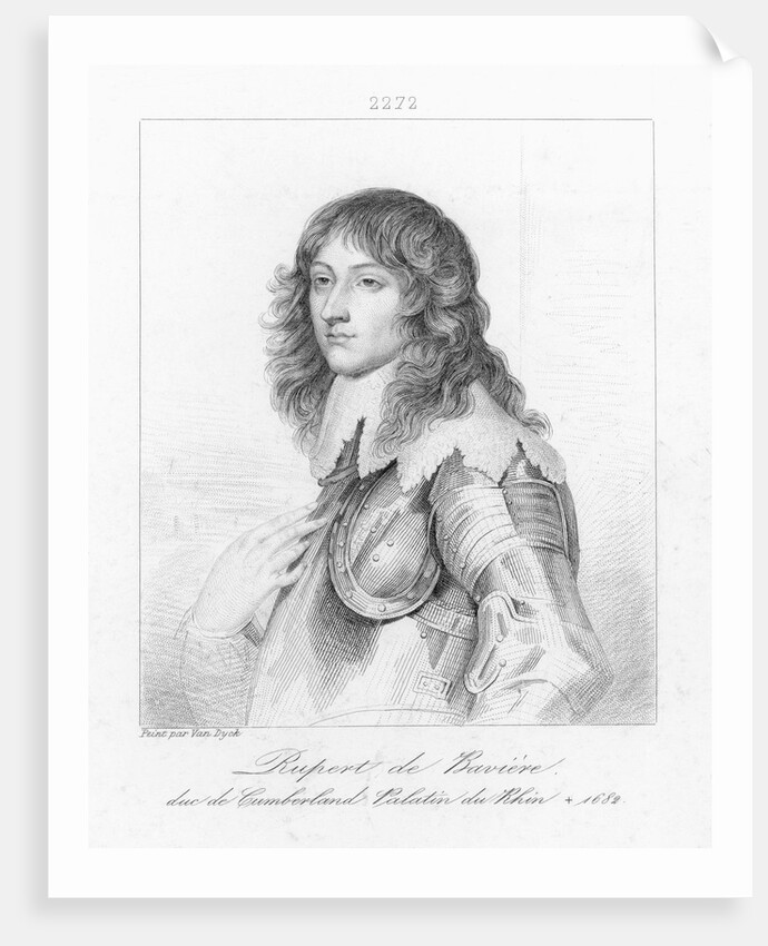 Portrait of Prince Rupert of Bavaria by Anonymous