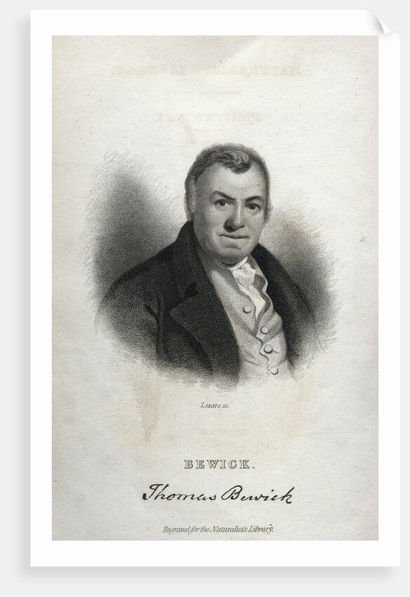 Thomas Bewick by Lixars