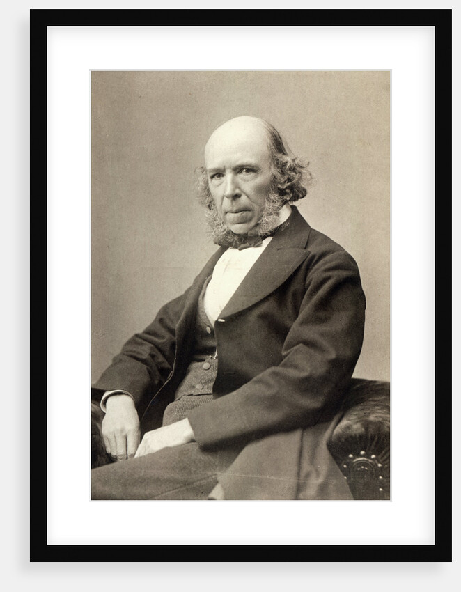 Philosopher Herbert Spencer by Anonymous