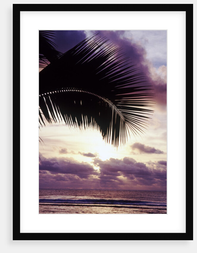 Sunset in Rarotonga by Anonymous