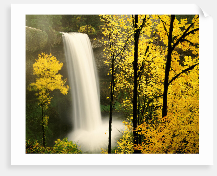 South Silver Falls in autumn - Silver Falls State Park, OR by Anonymous