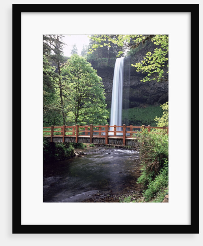 Silver Falls State Park - Oregon by Anonymous